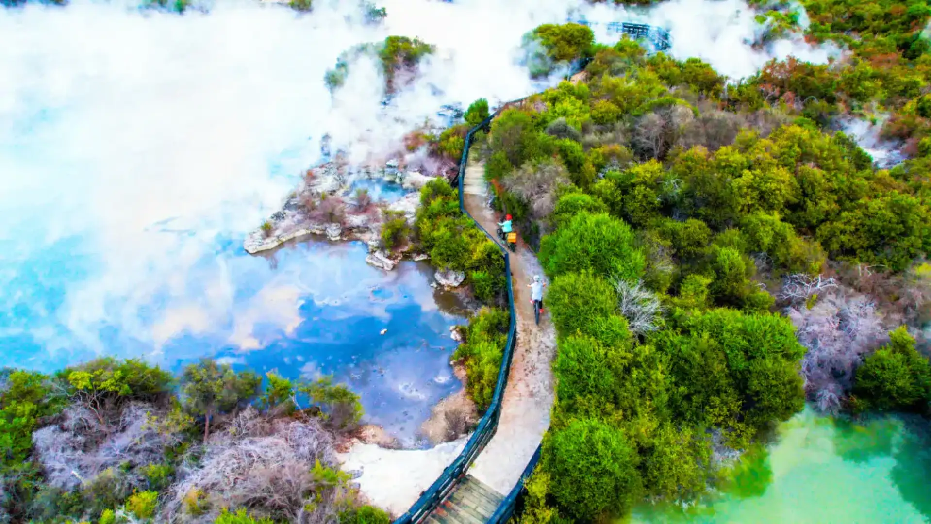 Discover the untouched geothermal landscape of Whakarewarewa, Rotorua